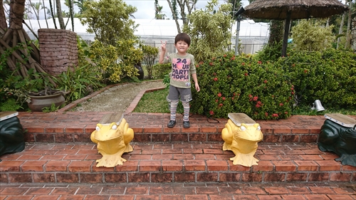 16日・東南植物楽園の釣り堀！